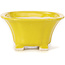 Pot à bonsaï carré jaune par Seto - 90 x 90 x 50 mm