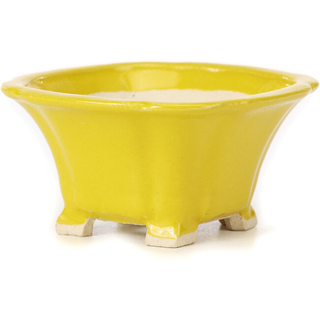 Pot à bonsaï carré jaune par Seto - 90 x 90 x 50 mm
