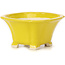 Pot à bonsaï carré jaune par Seto - 90 x 90 x 50 mm