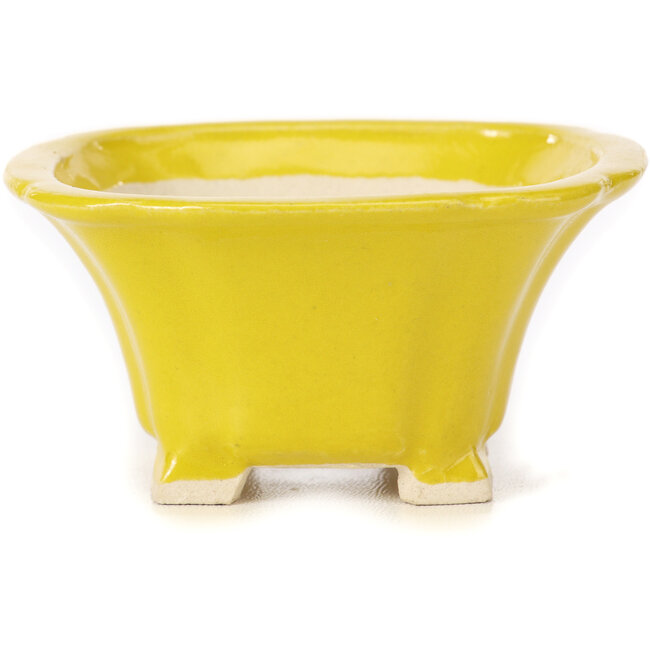Vaso bonsai quadrato giallo di Seto - 90 x 90 x 50 mm