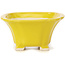 Pot à bonsaï carré jaune par Seto - 90 x 90 x 50 mm