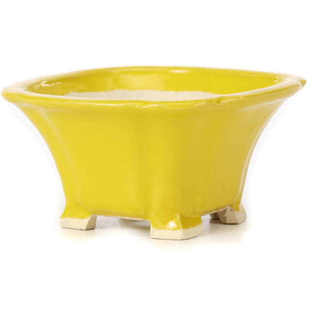 Vaso bonsai quadrato giallo di Seto - 90 x 90 x 50 mm
