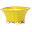 Pot à bonsaï carré jaune par Seto - 90 x 90 x 50 mm
