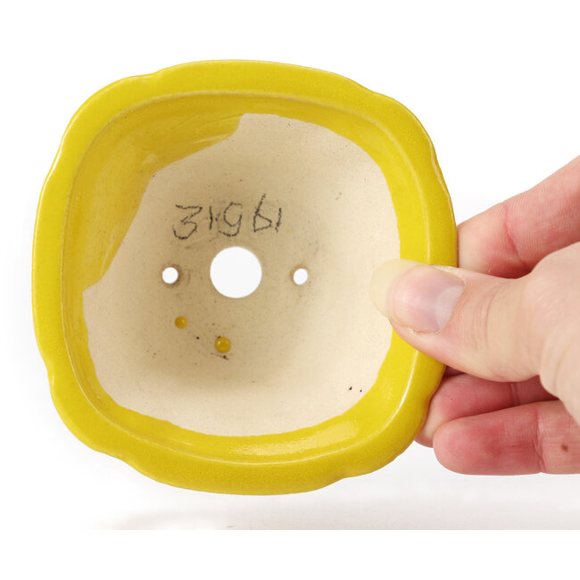 Pot à bonsaï carré jaune par Seto - 90 x 90 x 50 mm