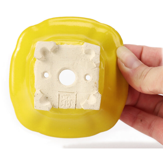 Pot à bonsaï carré jaune par Seto - 90 x 90 x 50 mm