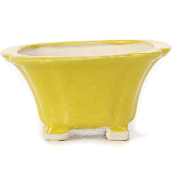 Pot à bonsaï carré jaune par Seto - 95 x 95 x 50 mm