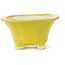 Pot à bonsaï carré jaune par Seto - 95 x 95 x 50 mm
