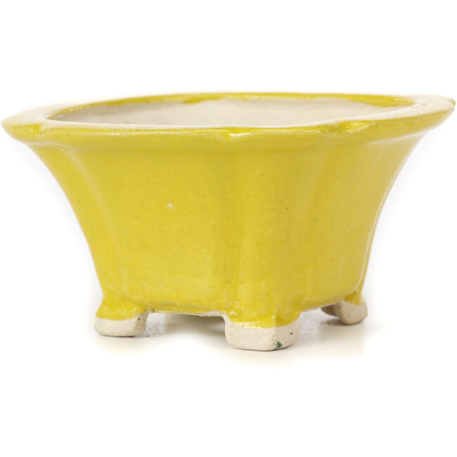 Vaso bonsai quadrato giallo di Seto - 95 x 95 x 50 mm