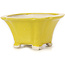 Pot à bonsaï carré jaune par Seto - 95 x 95 x 50 mm