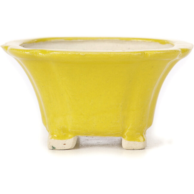 Vaso bonsai quadrato giallo di Seto - 95 x 95 x 50 mm