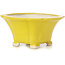 Pot à bonsaï carré jaune par Seto - 95 x 95 x 50 mm