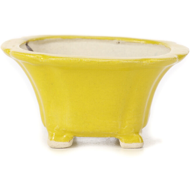 Vaso bonsai quadrato giallo di Seto - 95 x 95 x 50 mm