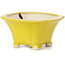 Pot à bonsaï carré jaune par Seto - 95 x 95 x 50 mm