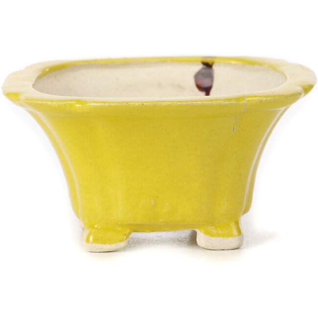 Maceta de bonsái amarilla cuadrada de Seto - 95 x 95 x 50 mm