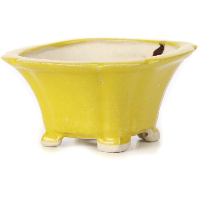 Vaso bonsai quadrato giallo di Seto - 95 x 95 x 50 mm