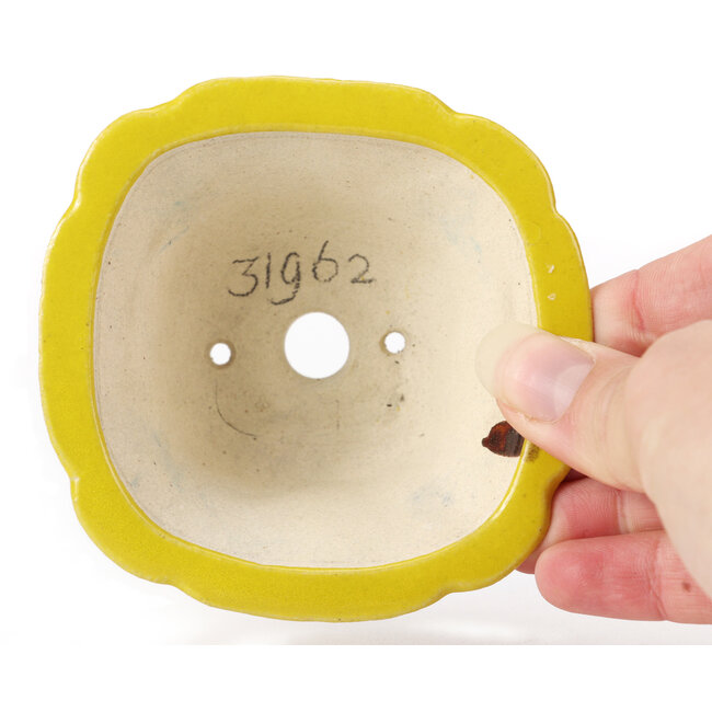 Pot à bonsaï carré jaune par Seto - 95 x 95 x 50 mm
