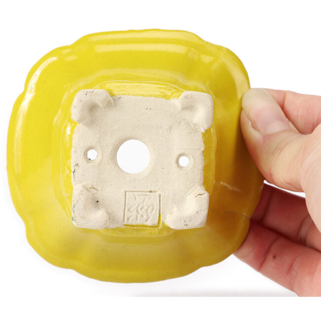 Square yellow bonsai pot by Seto - 95 x 95 x 50 mm