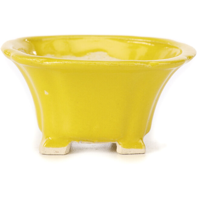 Vierkante gele bonsaipot van Seto - 90 x 90 x 50 mm