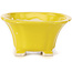 Square yellow bonsai pot by Seto - 90 x 90 x 50 mm