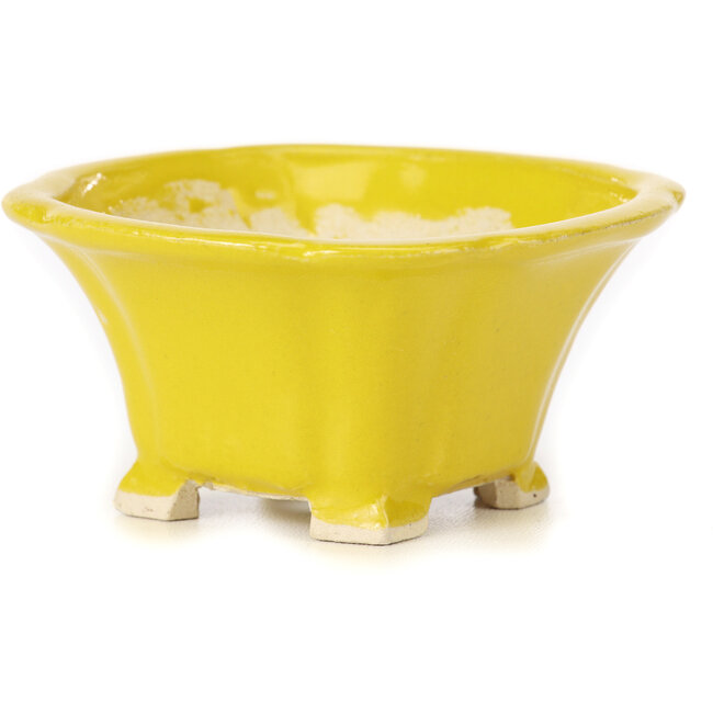 Vaso bonsai quadrato giallo di Seto - 90 x 90 x 50 mm