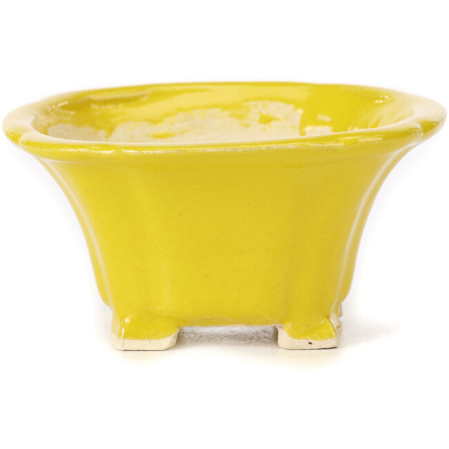 Maceta de bonsái amarilla cuadrada de Seto - 90 x 90 x 50 mm