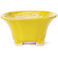 Square yellow bonsai pot by Seto - 90 x 90 x 50 mm