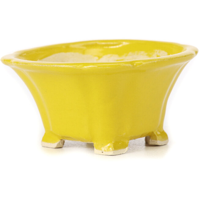 Square yellow bonsai pot by Seto - 90 x 90 x 50 mm