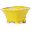 Square yellow bonsai pot by Seto - 90 x 90 x 50 mm