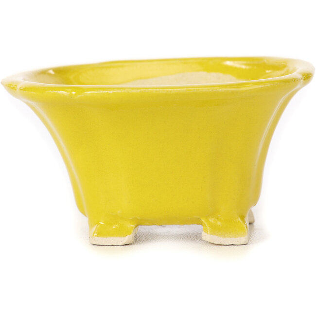 Vaso bonsai quadrato giallo di Seto - 90 x 90 x 50 mm