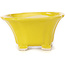 Square yellow bonsai pot by Seto - 90 x 90 x 50 mm
