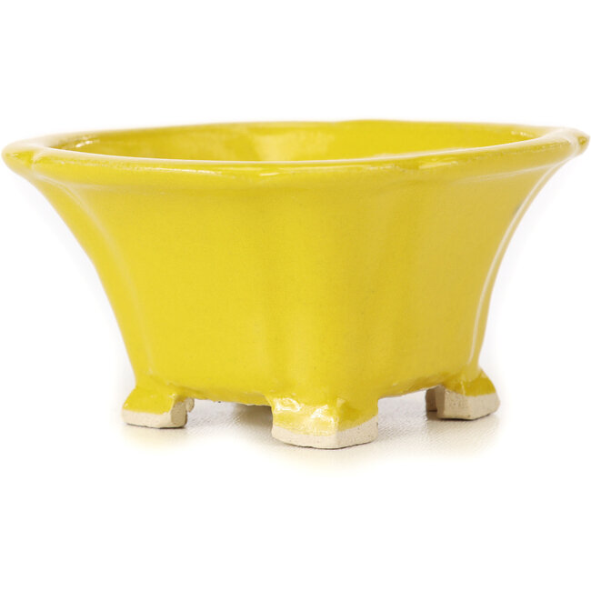 Vaso bonsai quadrato giallo di Seto - 90 x 90 x 50 mm