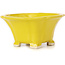Square yellow bonsai pot by Seto - 90 x 90 x 50 mm