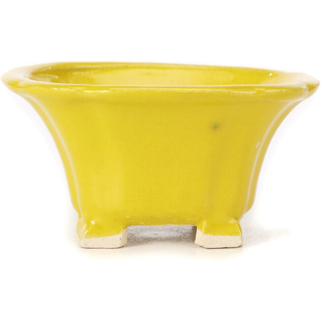 Quadratische gelbe Bonsaischale von Seto - 90 x 90 x 50 mm