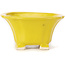 Square yellow bonsai pot by Seto - 90 x 90 x 50 mm