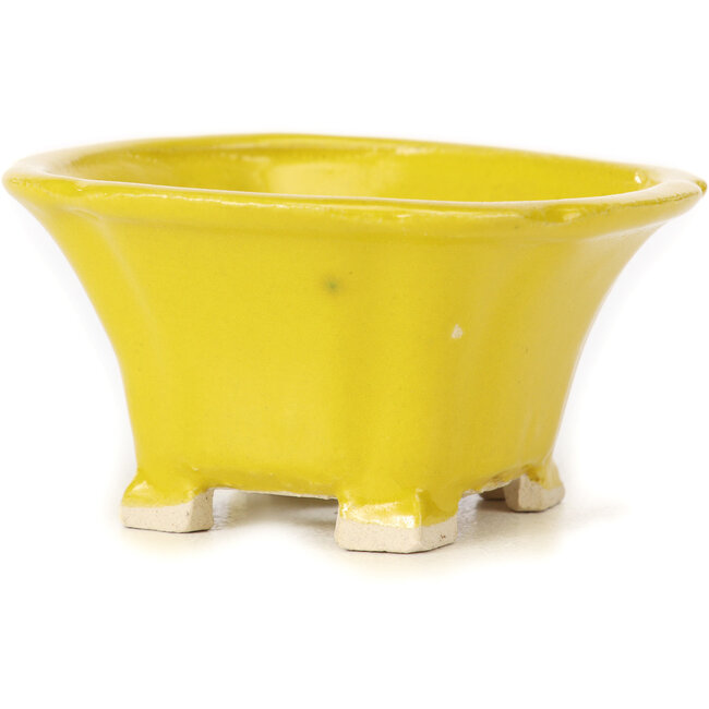 Vaso bonsai quadrato giallo di Seto - 90 x 90 x 50 mm