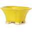 Square yellow bonsai pot by Seto - 90 x 90 x 50 mm