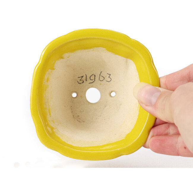 Square yellow bonsai pot by Seto - 90 x 90 x 50 mm