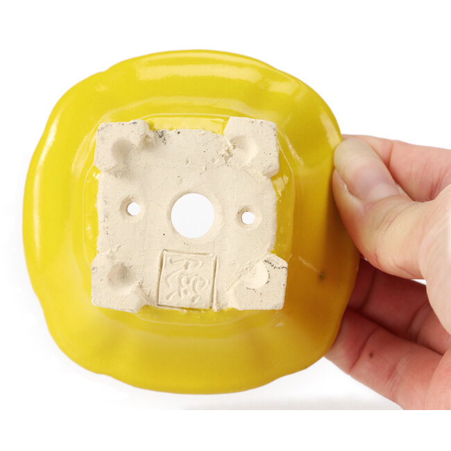 Vaso bonsai quadrato giallo di Seto - 90 x 90 x 50 mm