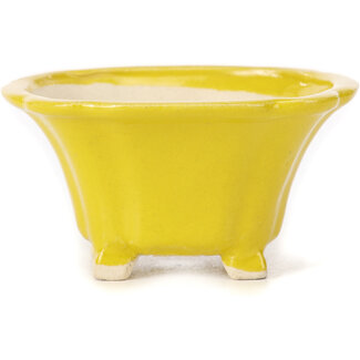 Seto Pot à bonsaï carré jaune 90 mm par Seto, Japon