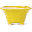 Square yellow bonsai pot by Seto - 90 x 90 x 50 mm