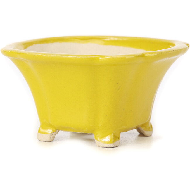 Pot à bonsaï carré jaune par Seto - 90 x 90 x 50 mm