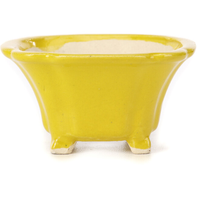Square yellow bonsai pot by Seto - 90 x 90 x 50 mm