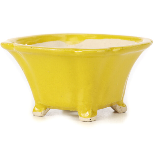 Maceta de bonsái amarilla cuadrada de Seto - 90 x 90 x 50 mm