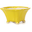 Square yellow bonsai pot by Seto - 90 x 90 x 50 mm