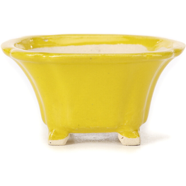 Quadratische gelbe Bonsaischale von Seto - 90 x 90 x 50 mm