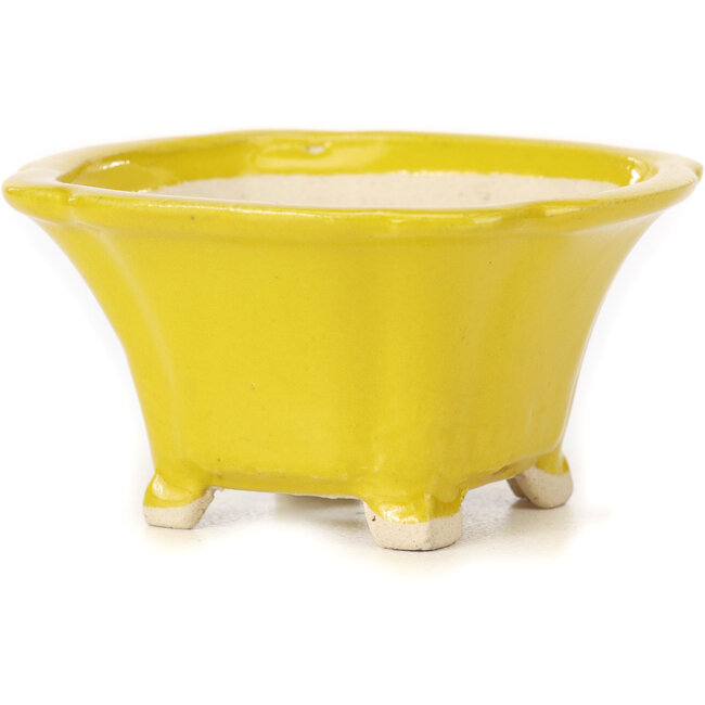 Vaso bonsai quadrato giallo di Seto - 90 x 90 x 50 mm