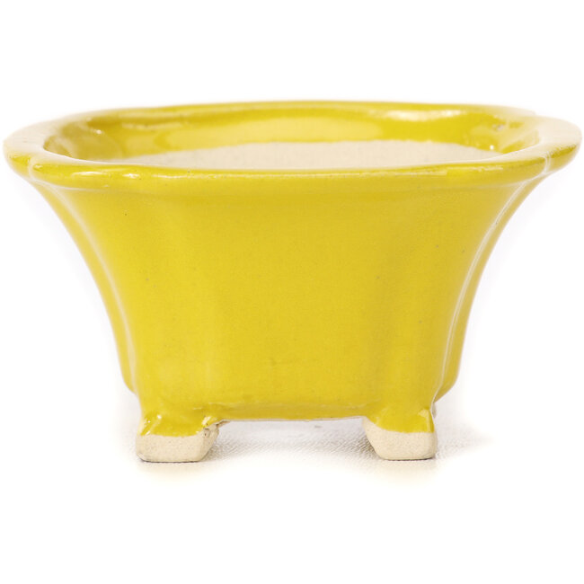 Vierkante gele bonsaipot van Seto - 90 x 90 x 50 mm