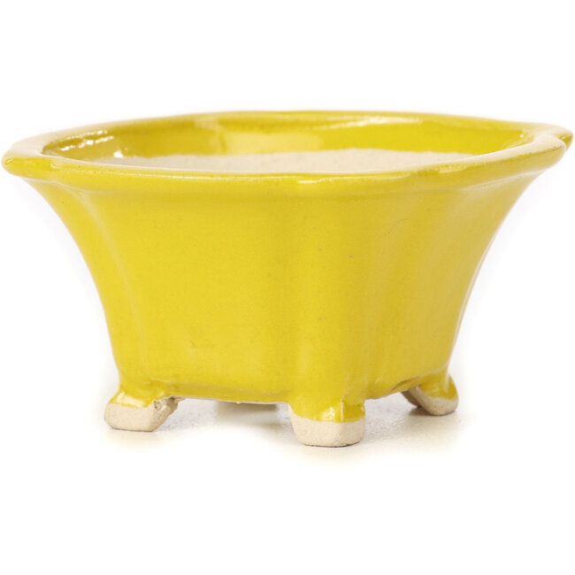 Maceta de bonsái amarilla cuadrada de Seto - 90 x 90 x 50 mm