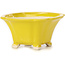 Pot à bonsaï carré jaune par Seto - 90 x 90 x 50 mm