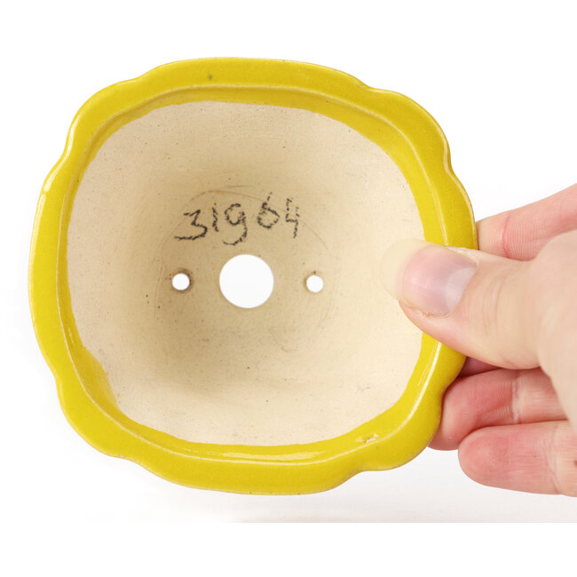 Vaso bonsai quadrato giallo di Seto - 90 x 90 x 50 mm